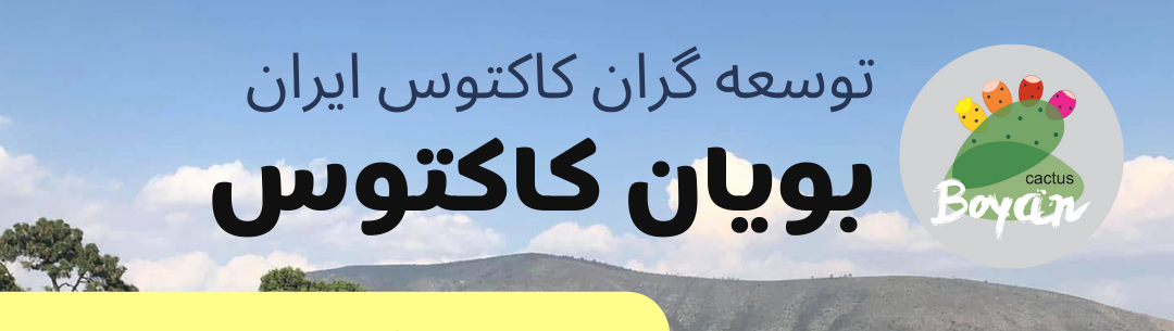 header-expert