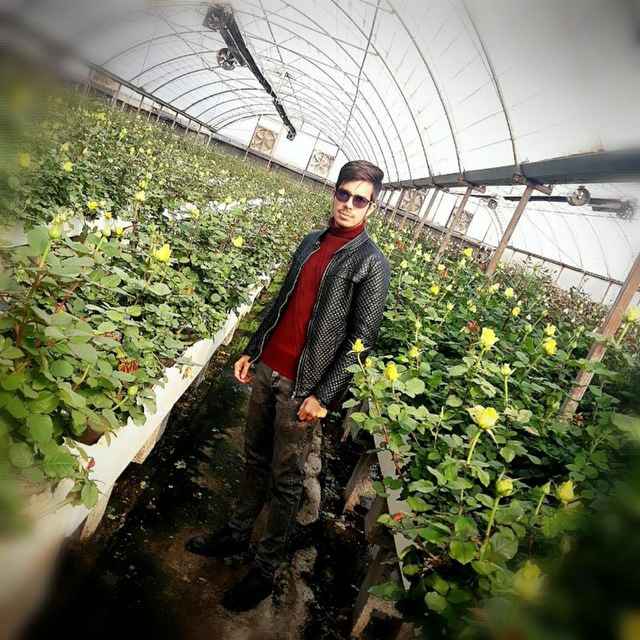expert-image