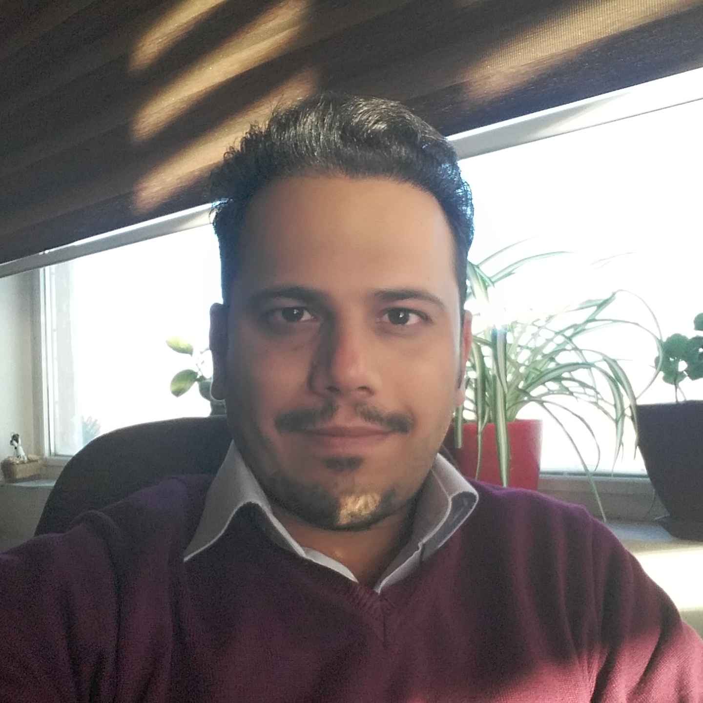 expert-image