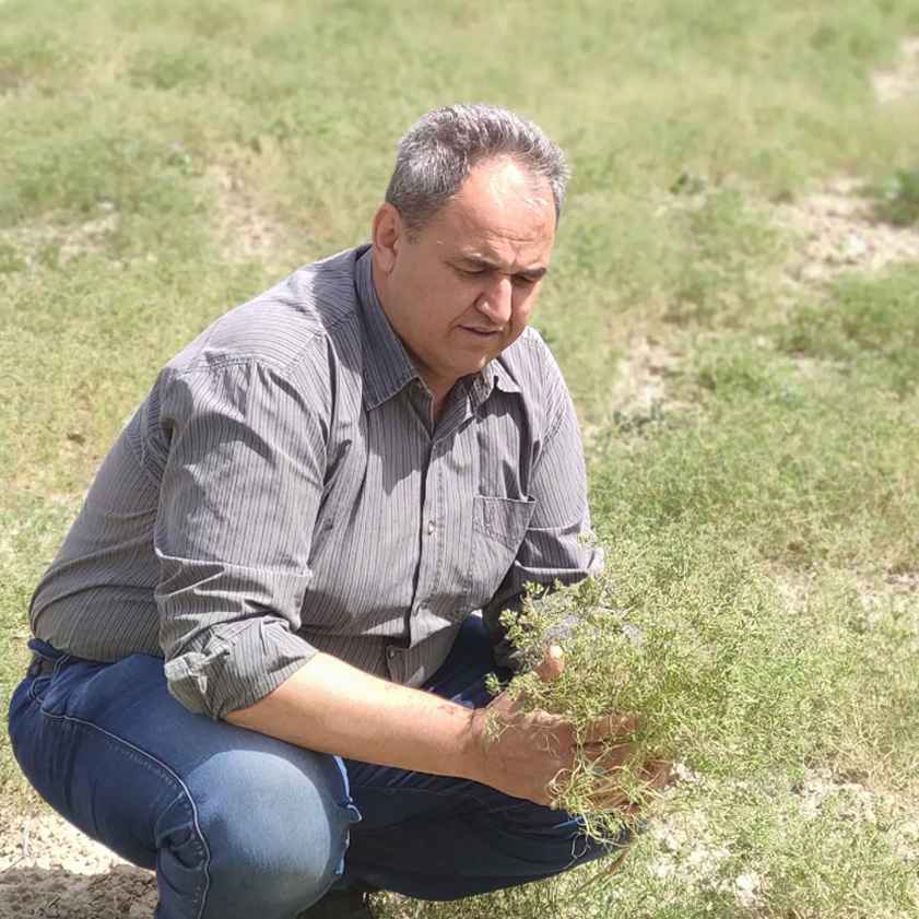 expert-image